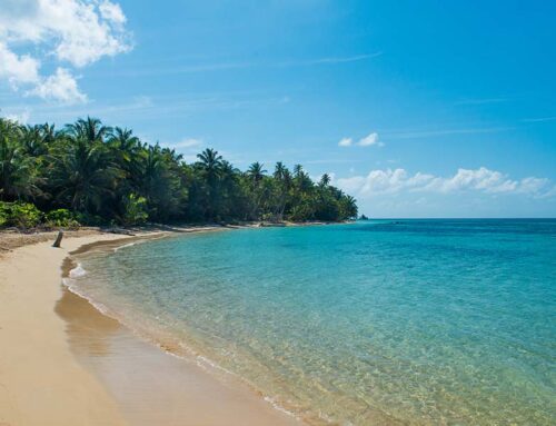 Recomendaciones ecoamigables para ir a Corn Island