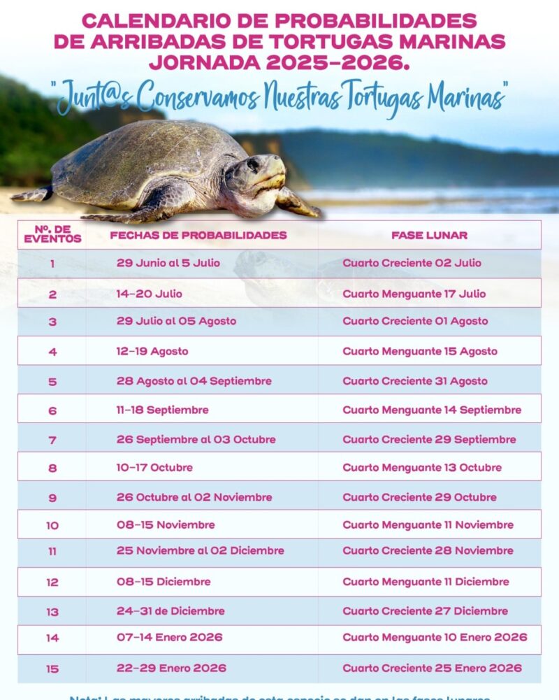 Calendario Tortugas Marinas en Nicaragua