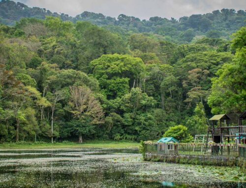 Lugares para recibir Año Nuevo en Nicaragua