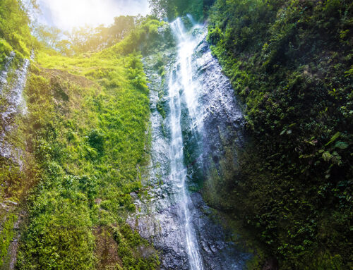 5 escenarios para obtener hermosas postales de Ometepe