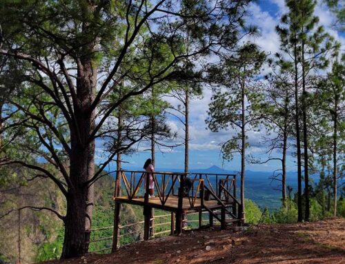 Entre Pinos y Veredas, el lugar perfecto para vivir hermosos momentos