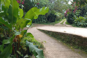 Ecoposada-Tisey-Estelí-2