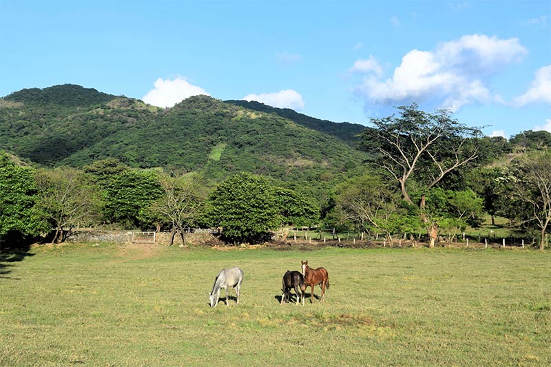 Finca-Los-Ángeles-Chontales-1