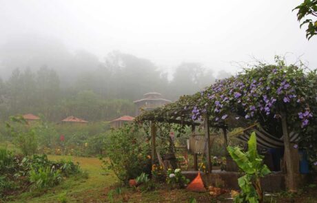 Finca-Neblina-del-Bosque