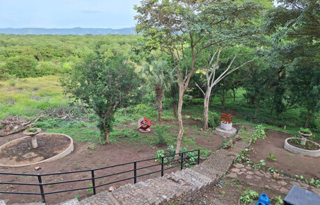 HATO NUEVO HATO NUEVO