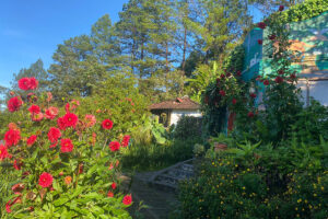 Neblina-del-Bosque-Estelí-2