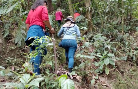 Finca Cascadas Verdes