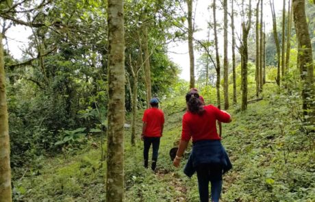 Finca Cascadas Verdes