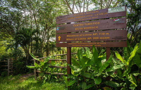 Selva Mombacho Selva-Mombach-(2)