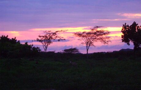 Atardecer-en-el-Rancho-tonanzin