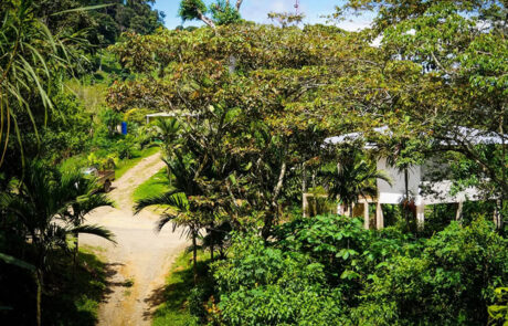 Finca-Jesús-Montain