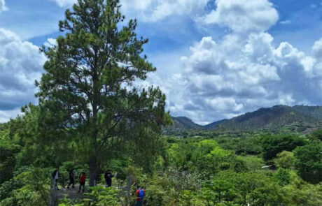 Finca-Monte-Carlo---Nueva-Segovia