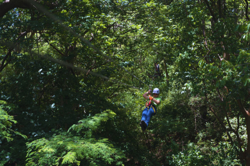 Canopy-Makina