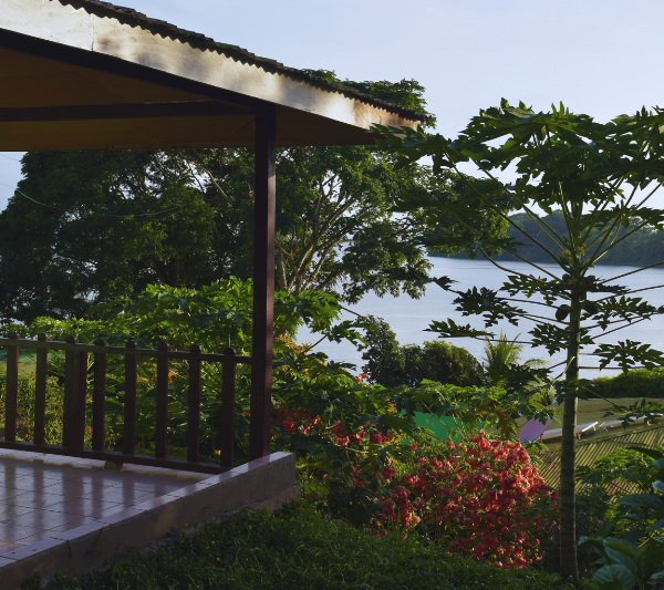 Contenido Solentiname